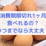 卵の消費期限切れ1ヶ月でも食べれるの？