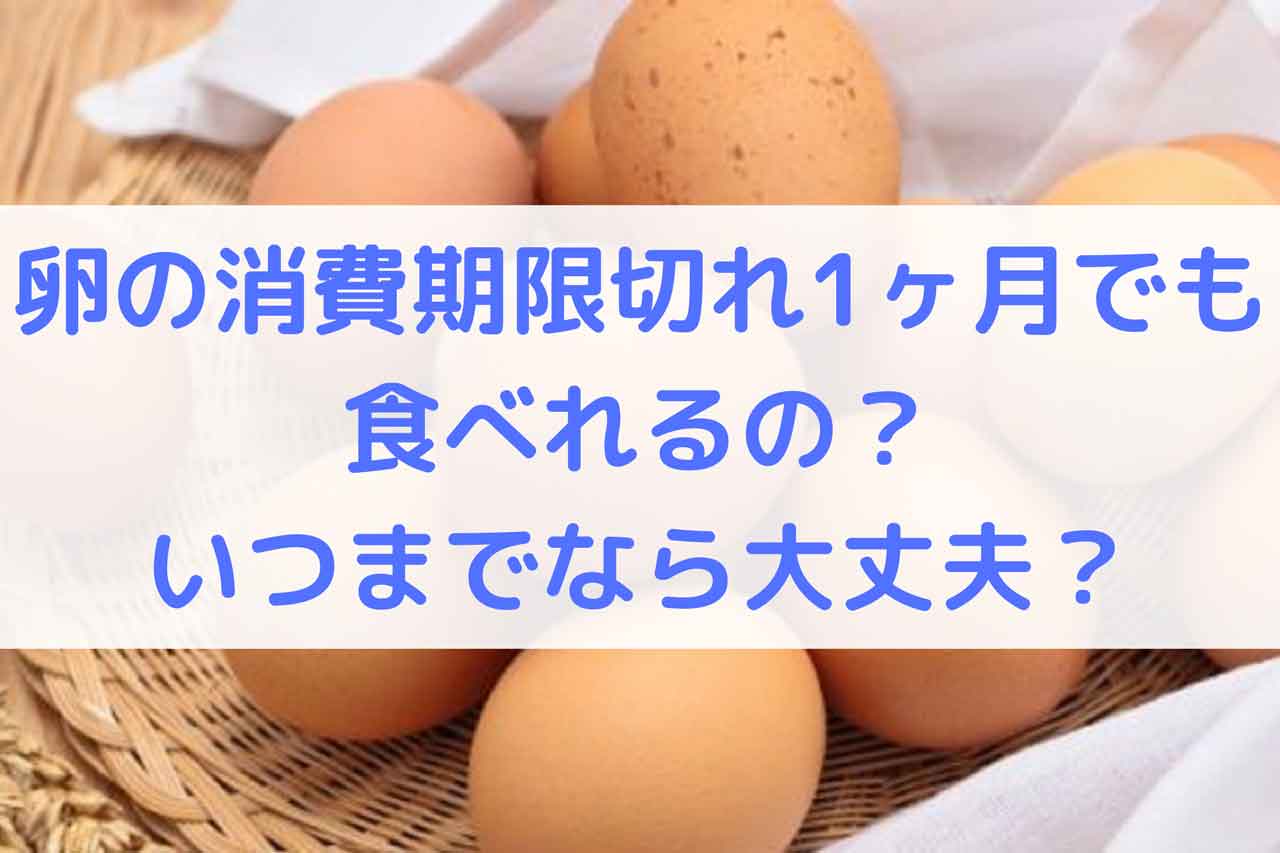 卵の消費期限切れ1ヶ月でも食べれるの？