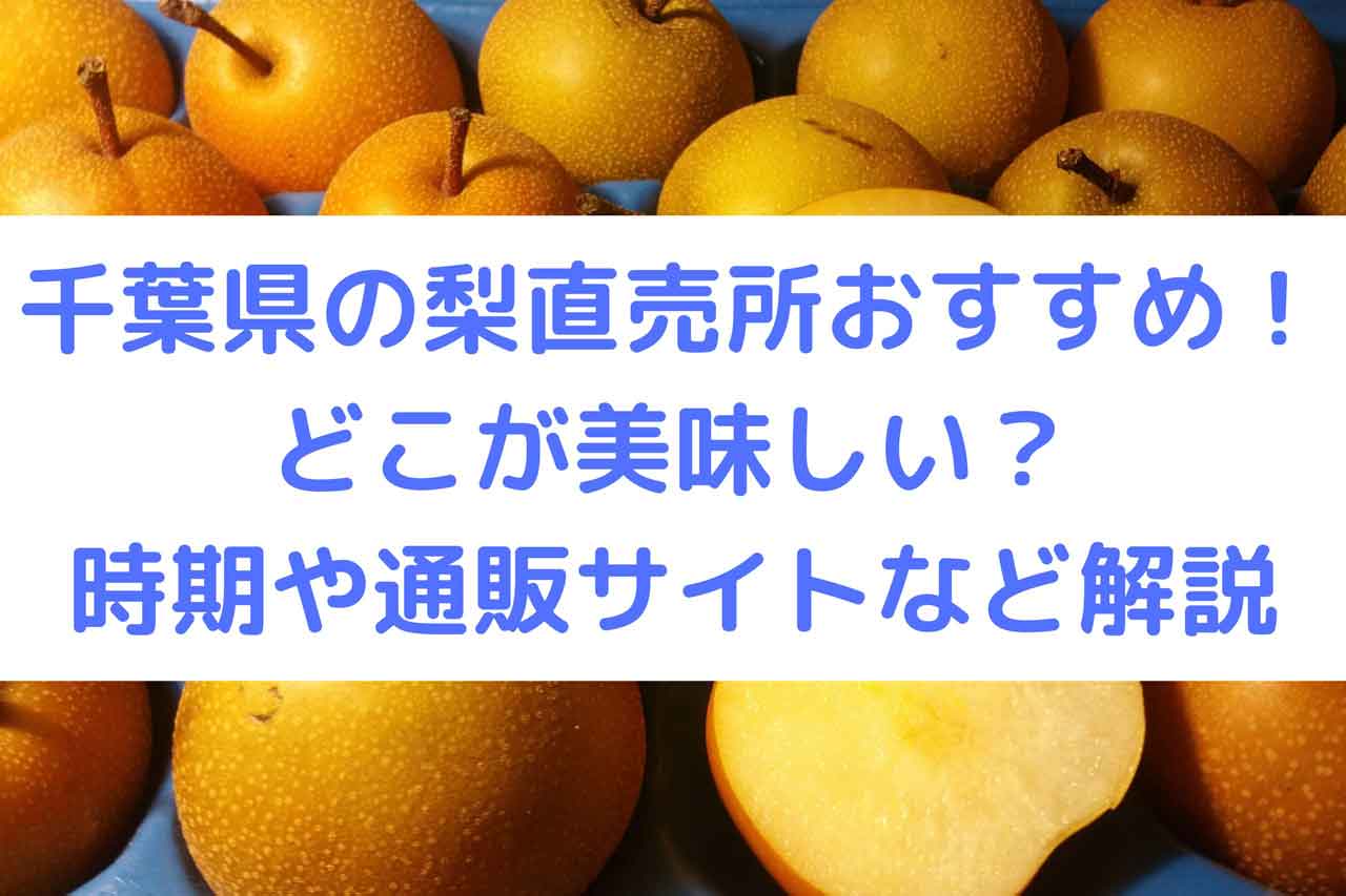 千葉県の梨直売所おすすめ！どこが美味しい？